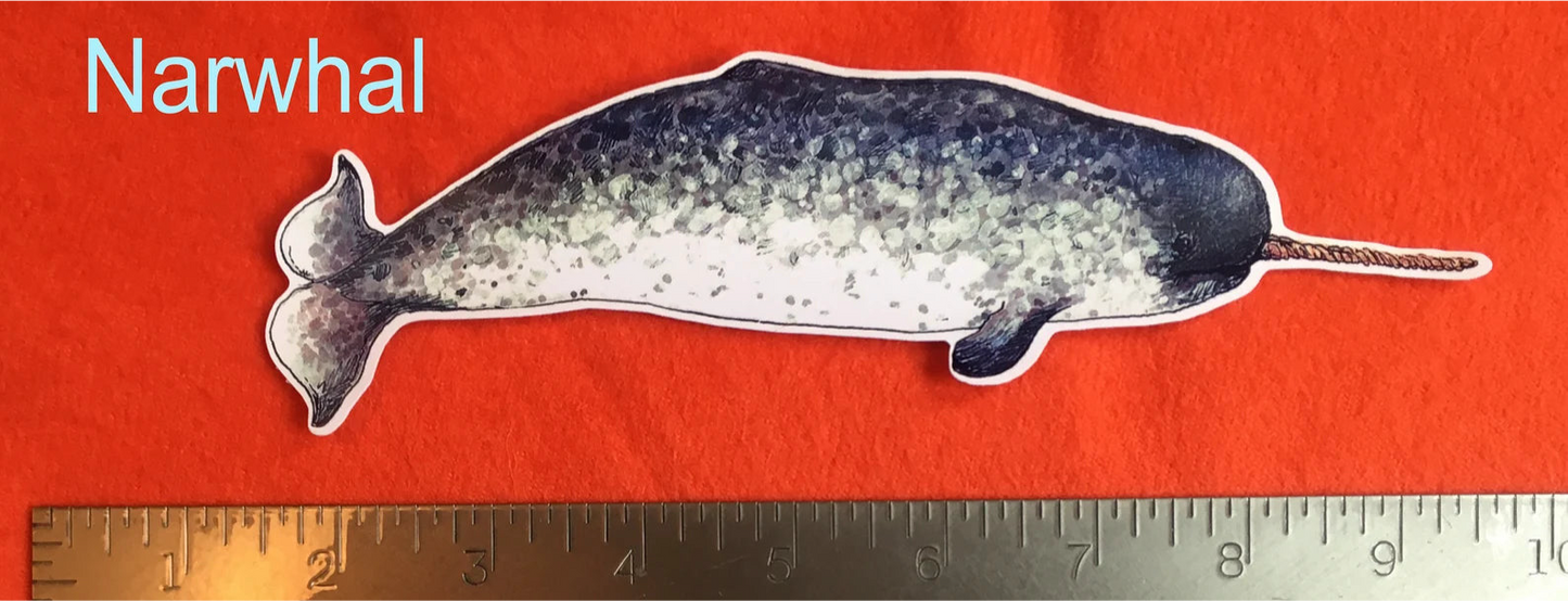 Narwhal sticker by Rosie Ferne Designs