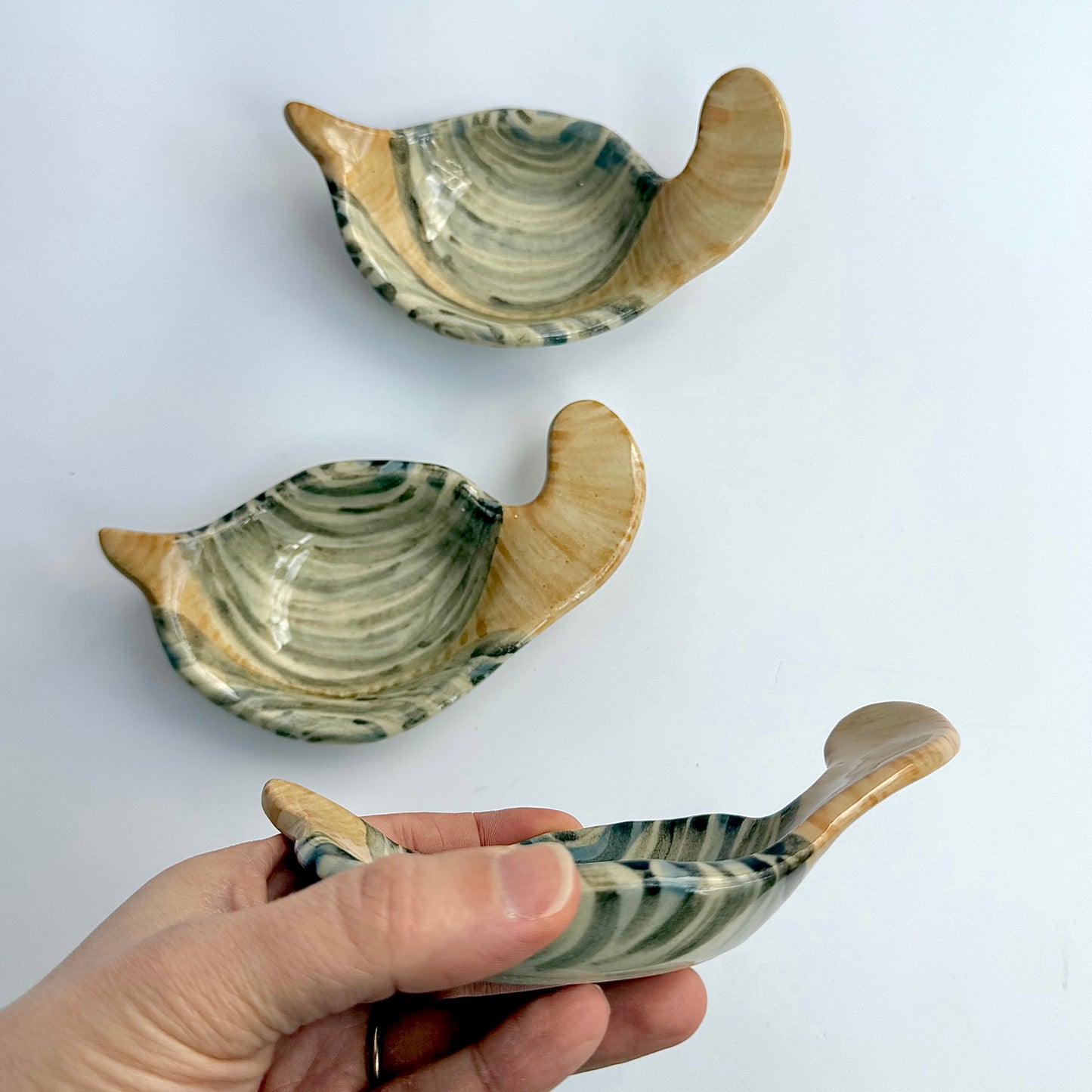 Geoduck Ring/Soap Dish