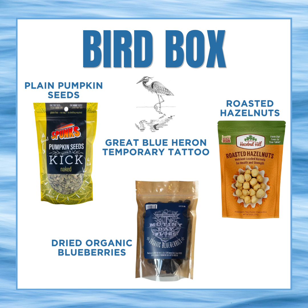 Bird Box product line with pumpkin seeds, hazelnuts, blueberries, and temporary tattoo on a blue background.