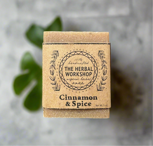 Cinnamon Spice Soap