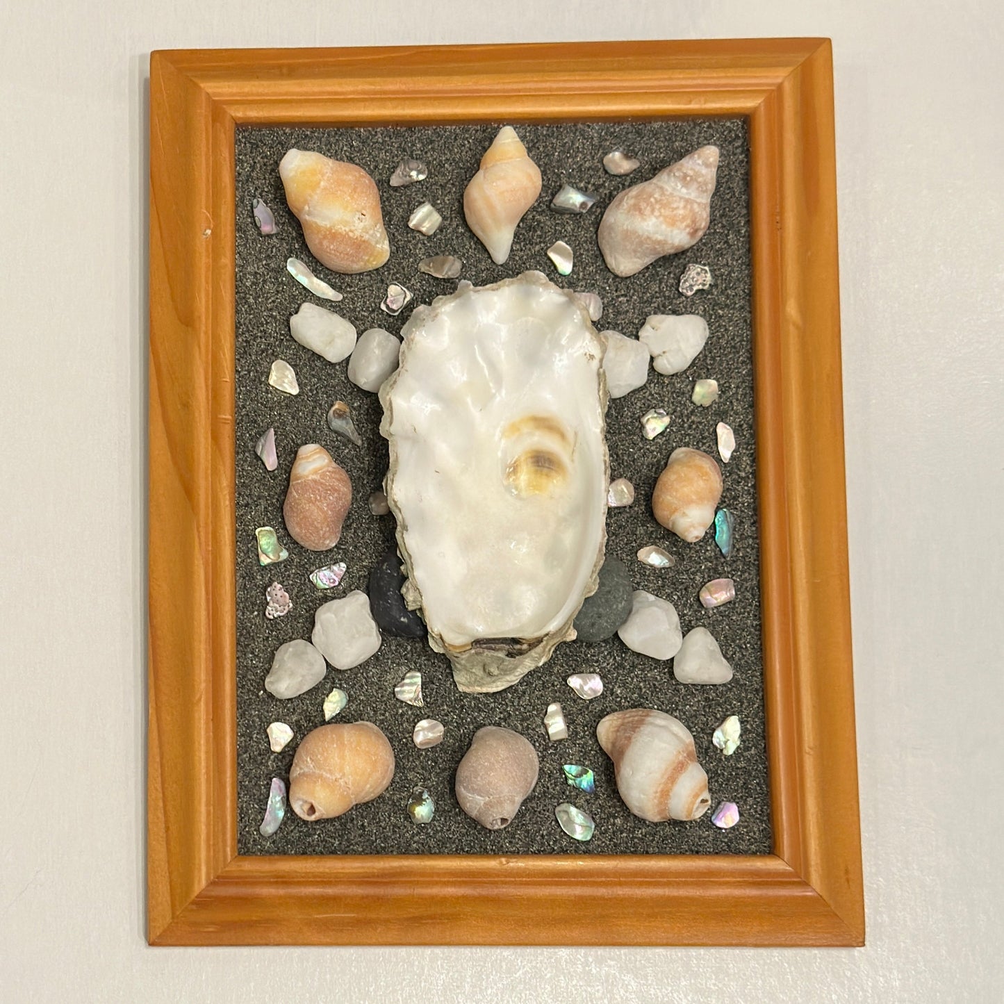 Framed display of seashells and an oyster on a gray background