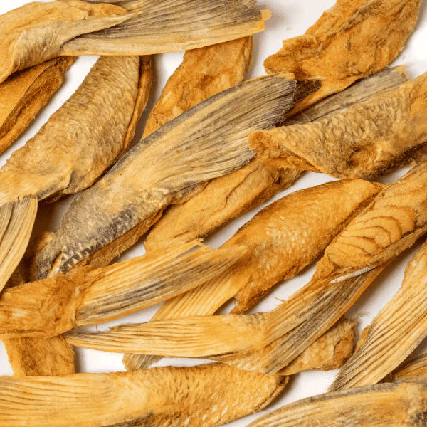 Freeze-Dried Salmon Fin Dog Treats