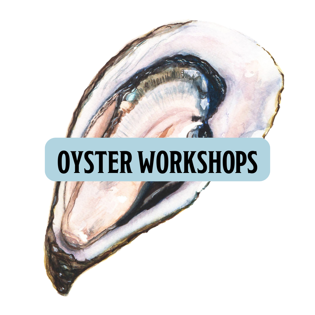 5PM-6PM OYSTER HOUR