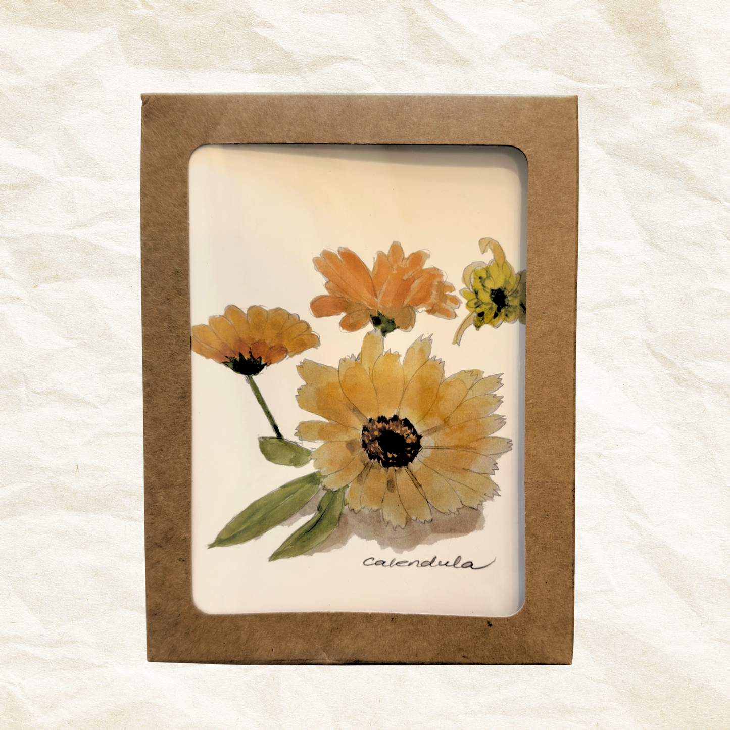 Pack of 5: "Calendula" Greeting Cards
