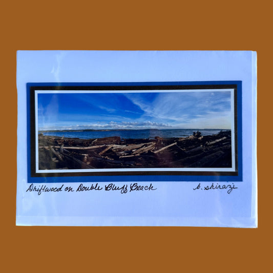 Photo of driftwood on the beach with blue sky, attached to a white greeting card with the handwritten words "Ellie - Do Not Disturb, B Shirazi"