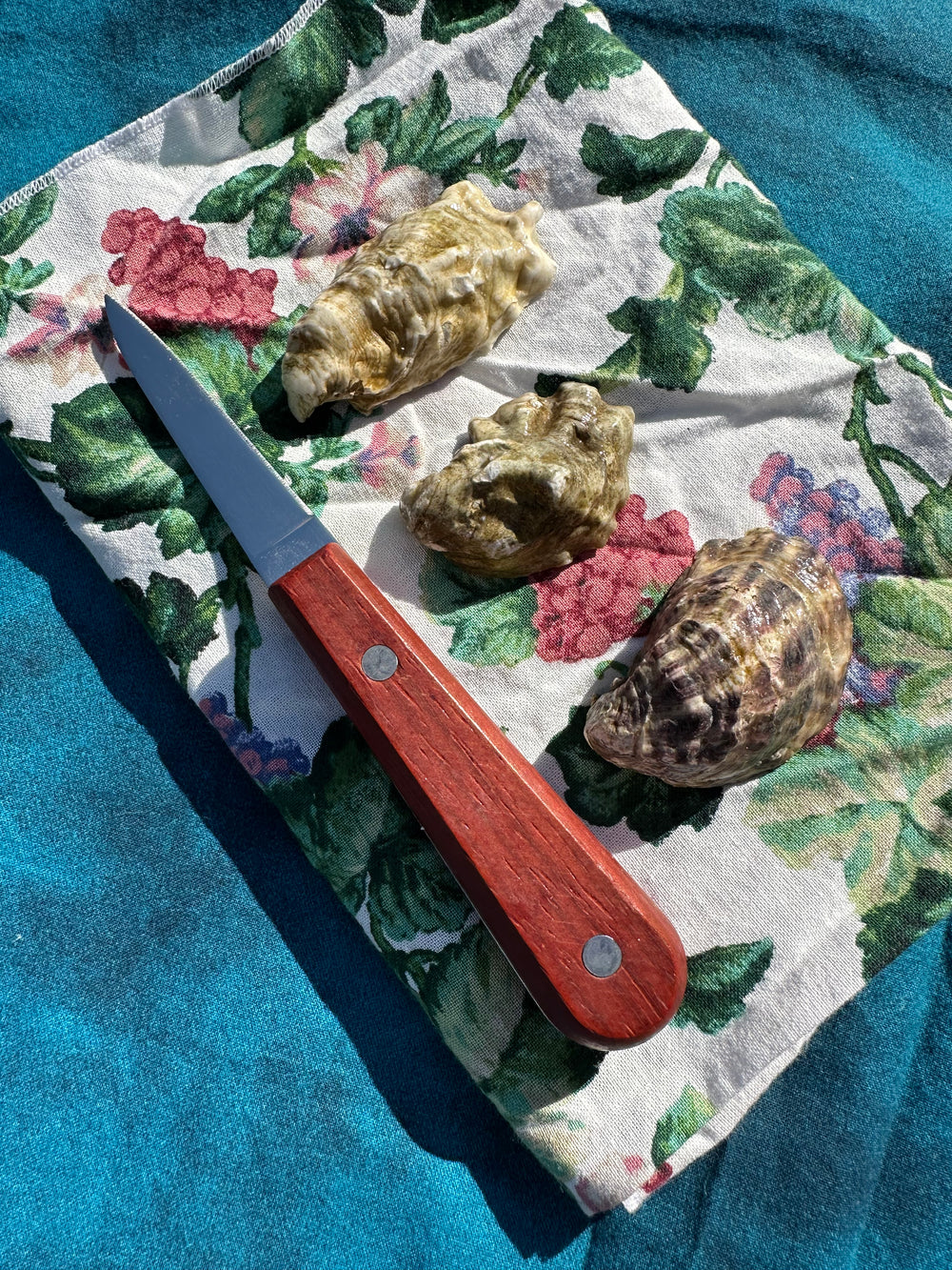 Wooden Oyster Shucking Knife