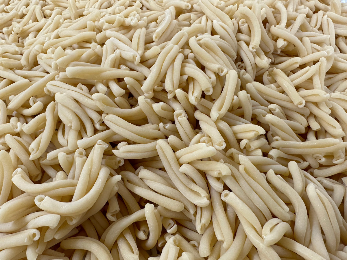 casareccia-pasta-di-segale-pasta-bianca-in-offerta-online-pasta-online-spezie-online-natura-vitale-italia  - Natura Vitale - Specialita alimentari dall'Italia e dal Mondo tutte le  spezie online