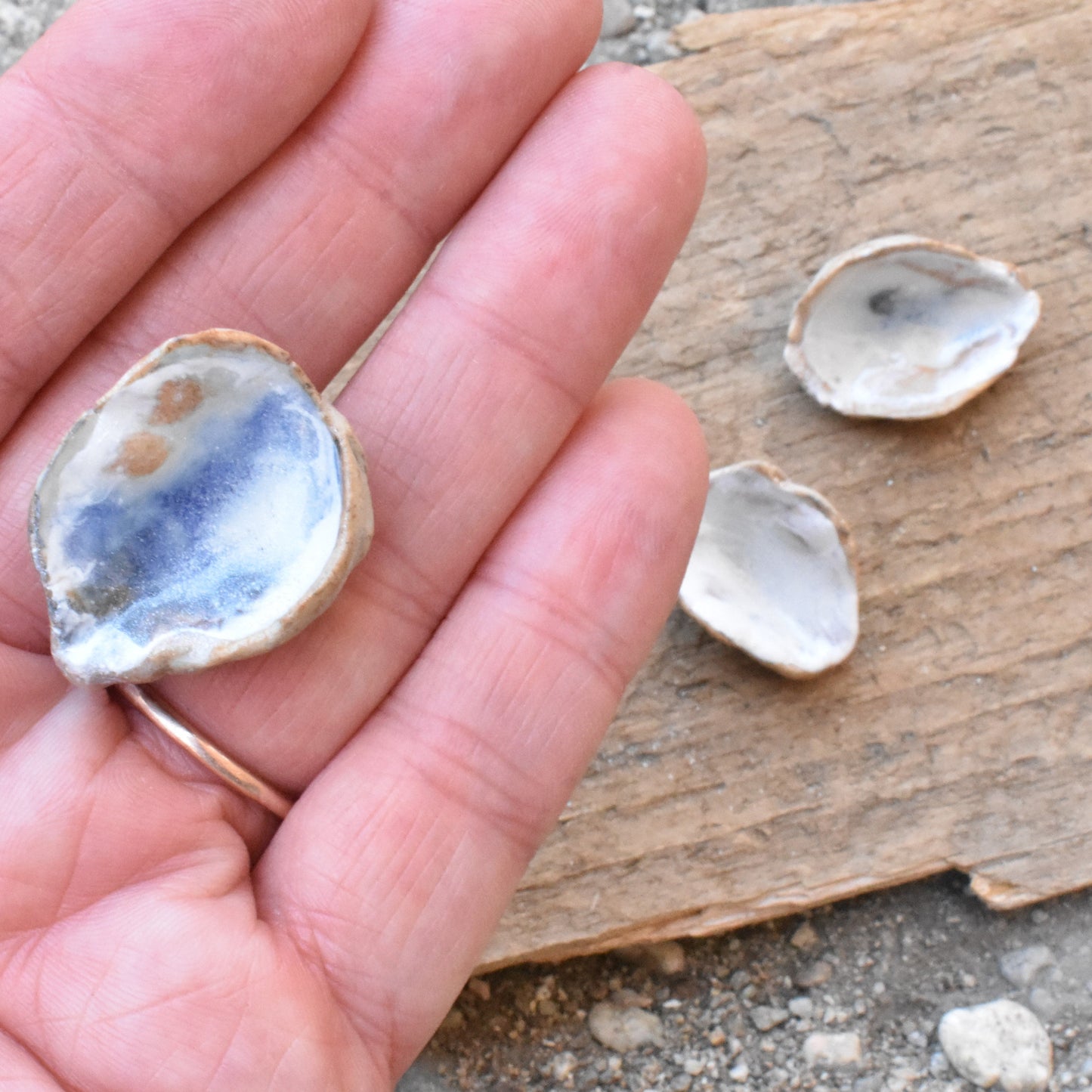 Ceramic Oyster Magnets