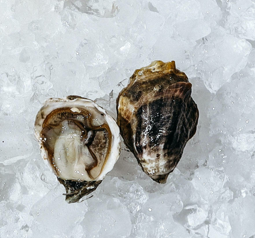 "Kiku" Kumamoto Oysters from Skagit Bay (perishable)