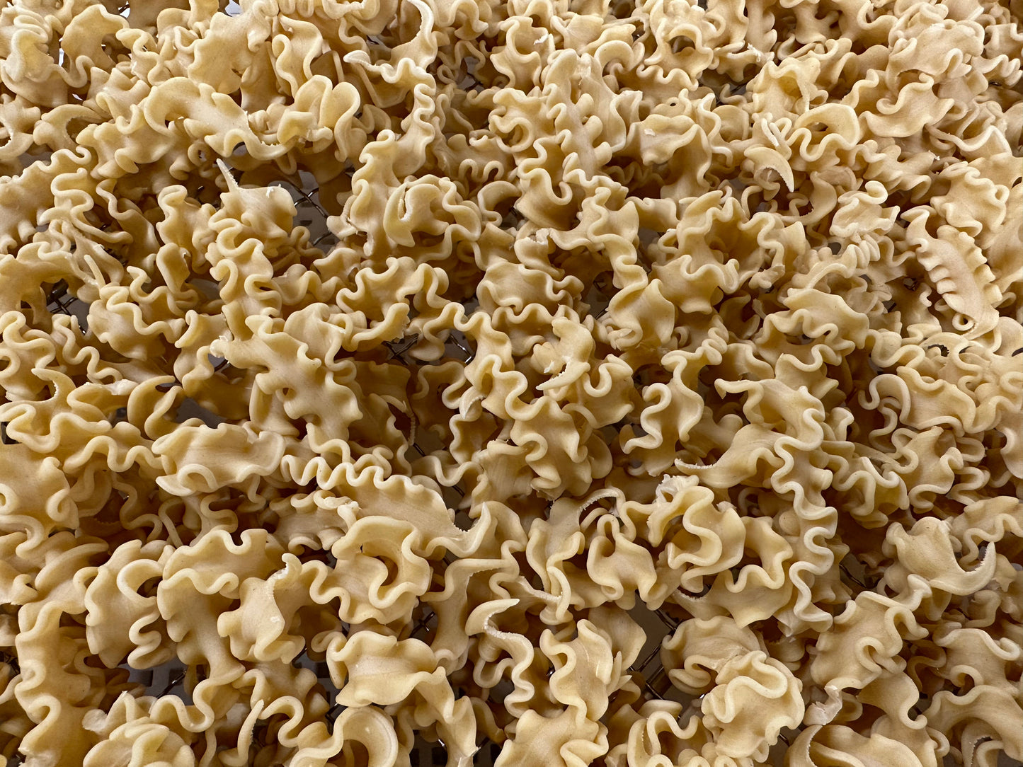 Pappardelle Undulate Pasta