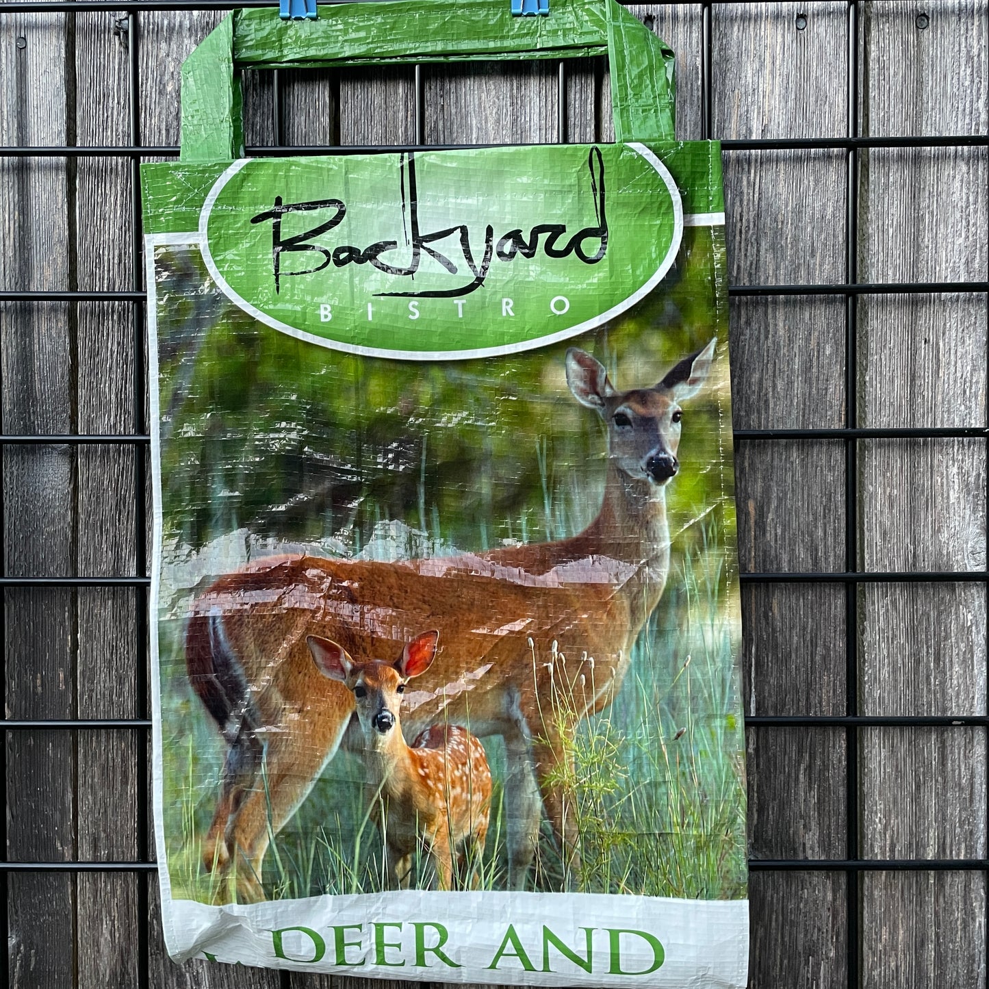 FUNDRAISER: Reusable Bag from the Crazy Bag Lady