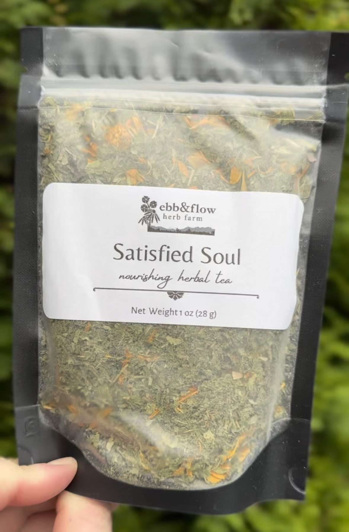TEA – Salinity Seafood & More