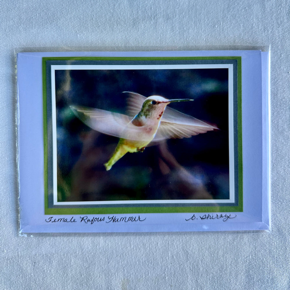 “Female Rufous Hummer