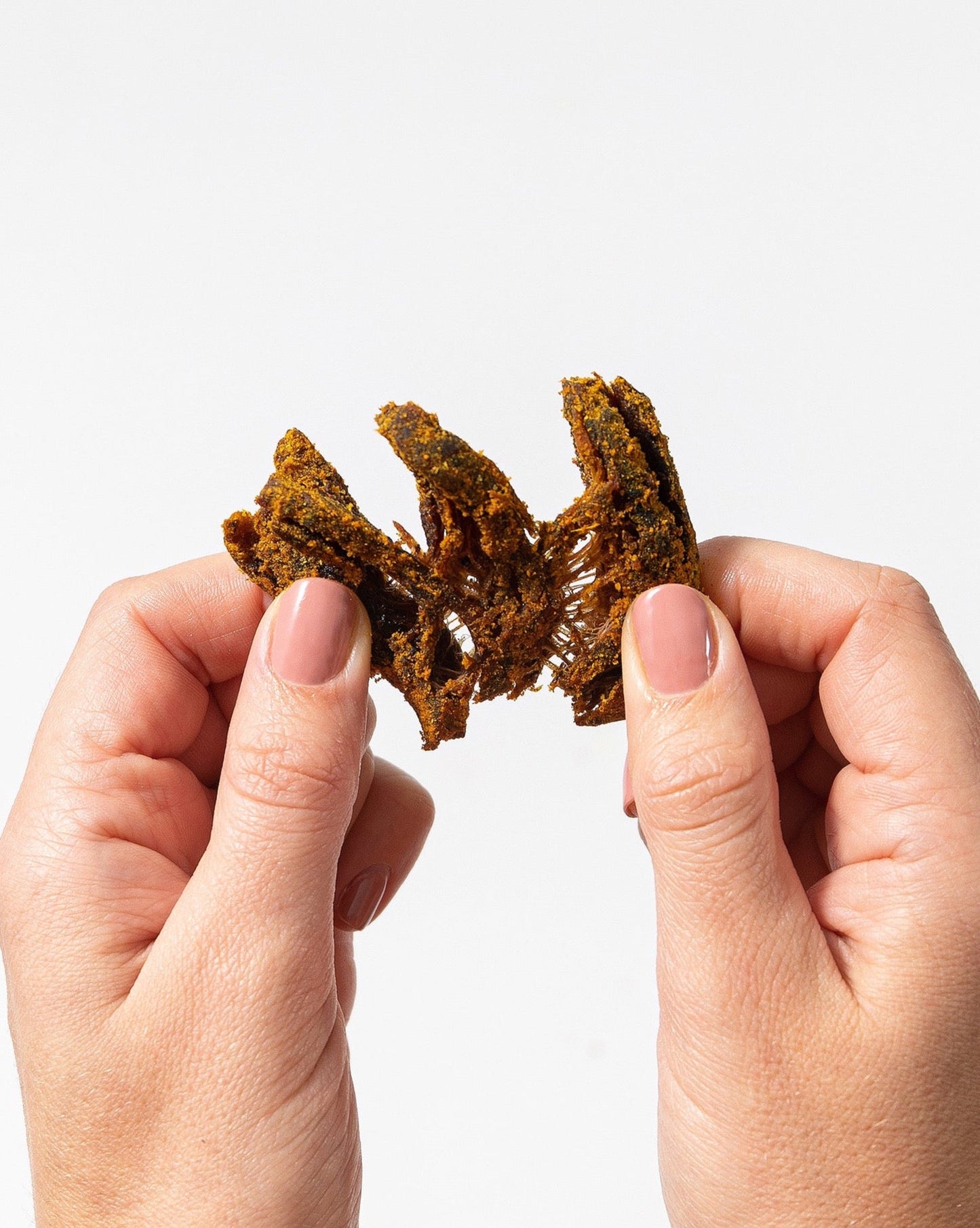 Curry Shiitake Mushroom Jerky