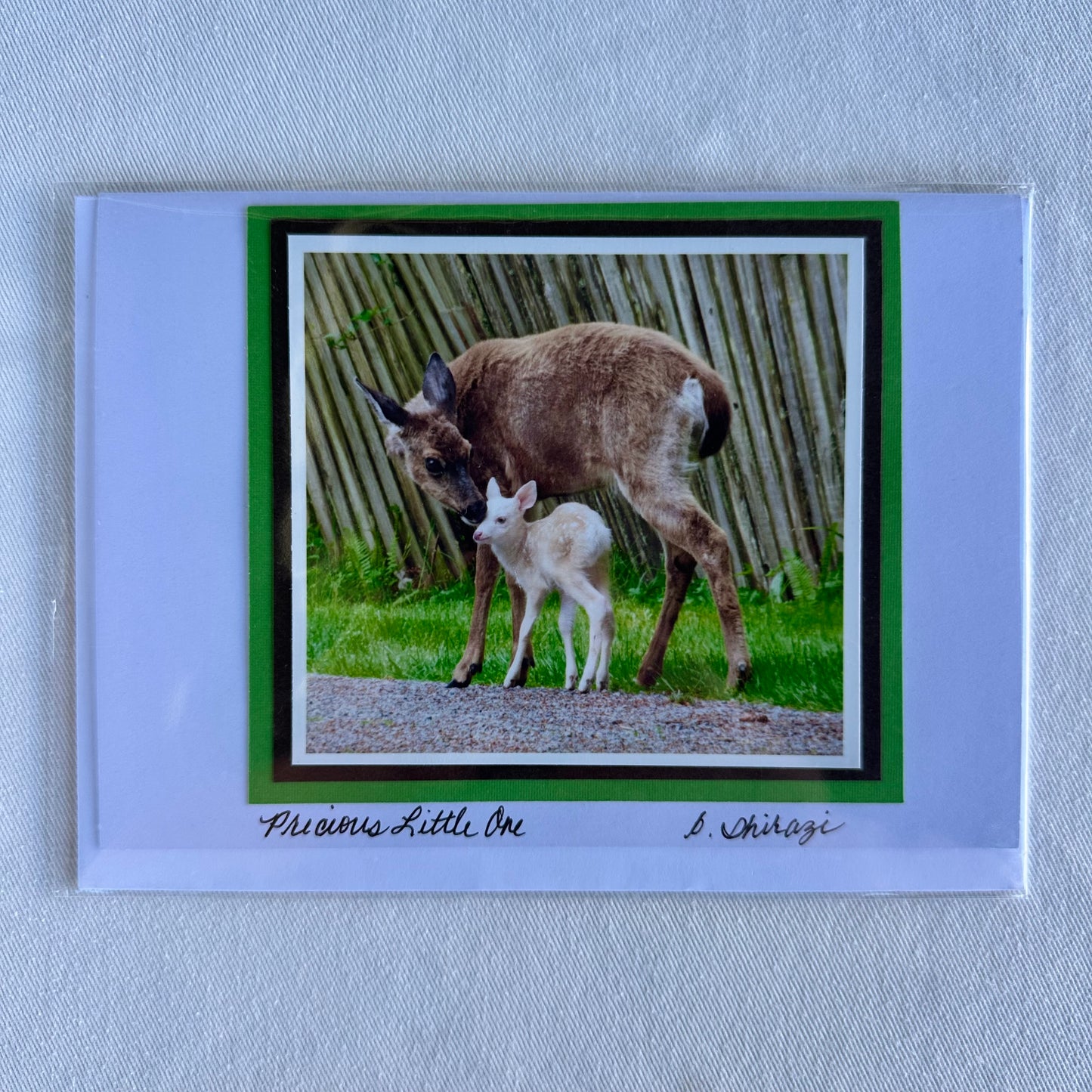 “Precious Little One" - Whidbey Photo Greeting Card