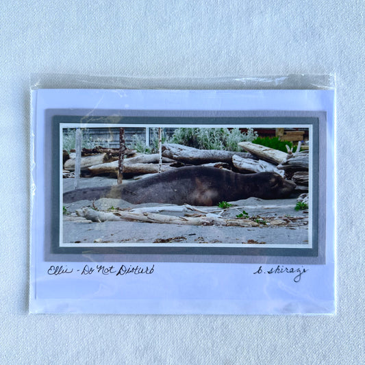 "Ellie - Do Not Disturb" - Whidbey Photo Greeting Card