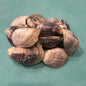 Pet Oysters