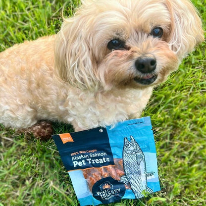 Wild Salmon Pet Treats