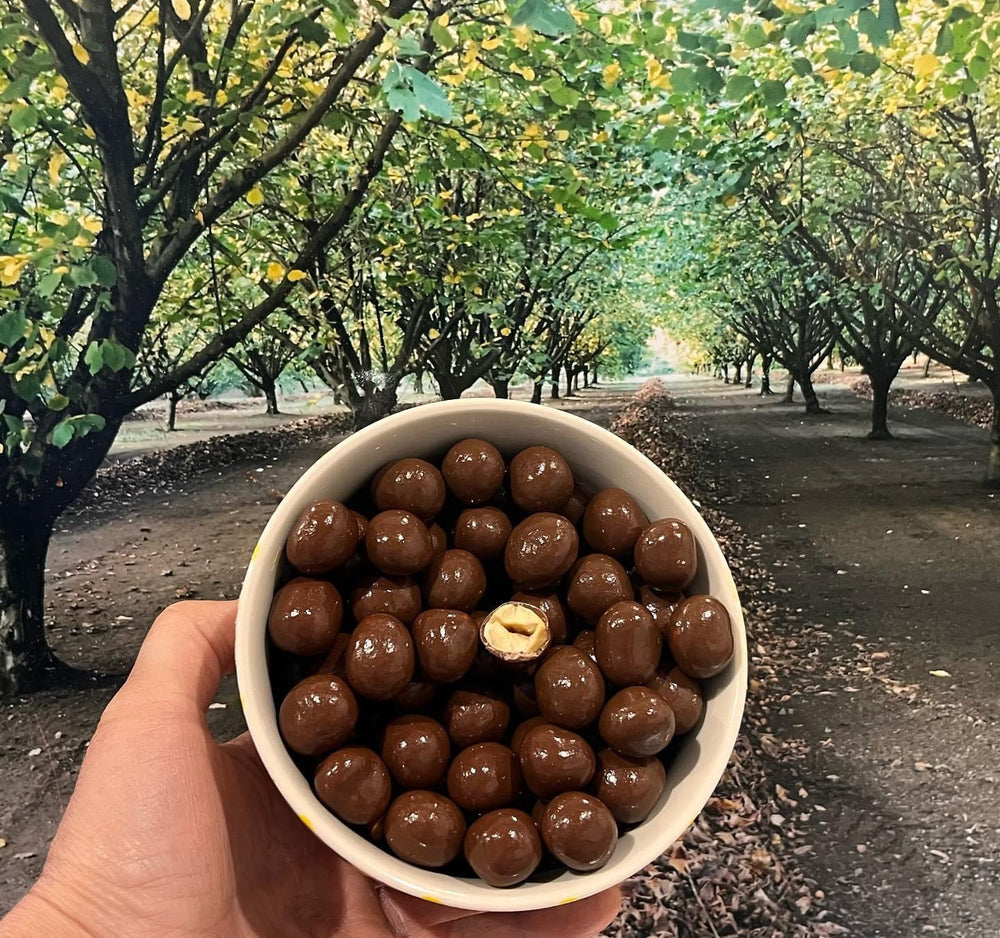 
                  
                    Dark Chocolate Covered Hazelnuts
                  
                