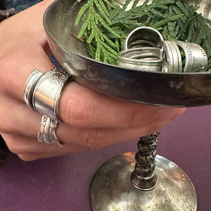 Spoon Theory Rings