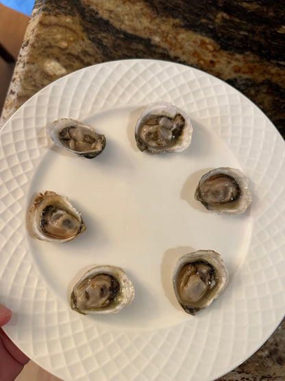 "Holy Smoly" Olympia Oysters from Similk Bay (perishable)