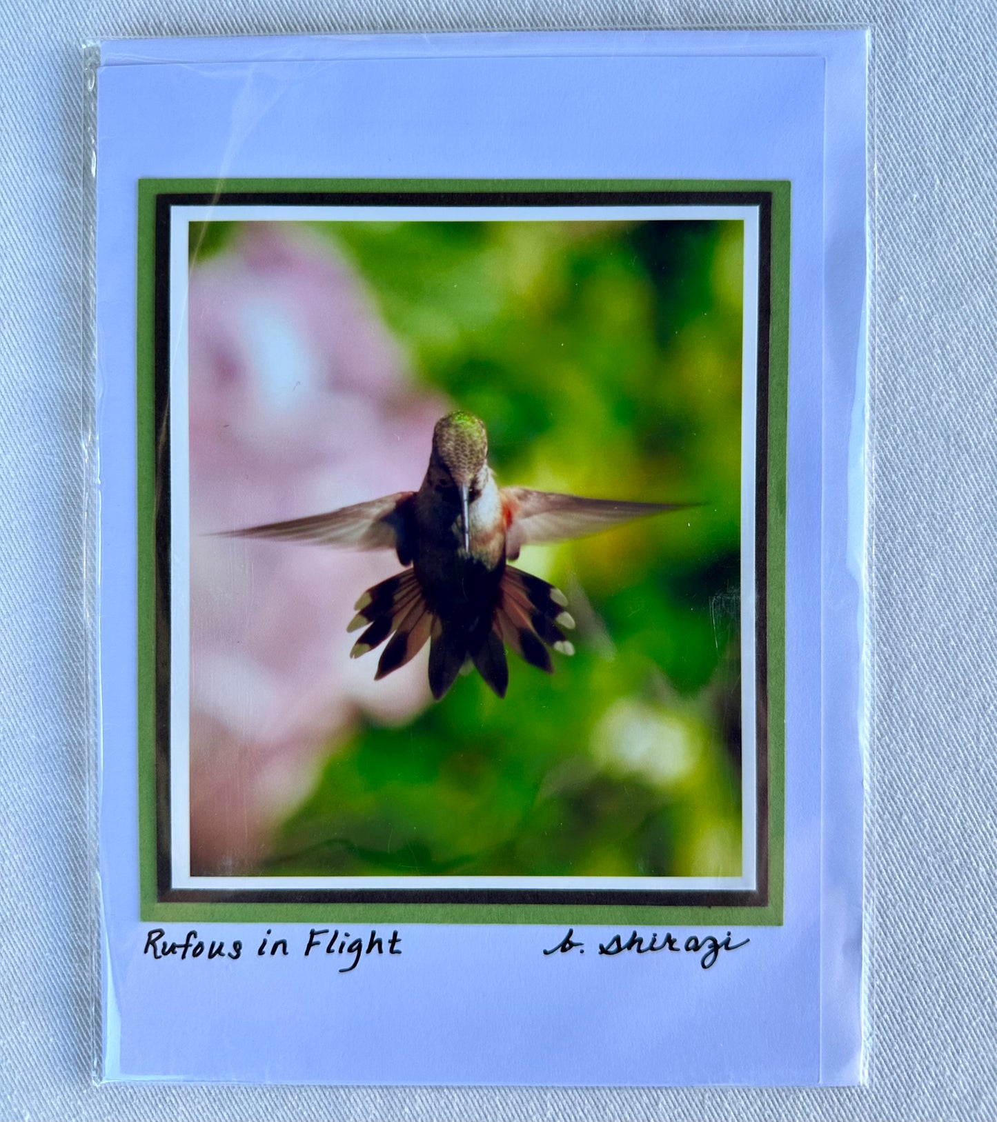 “Rufous In Flight" - Whidbey Photo Greeting Card