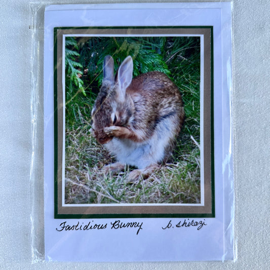 “Fastidious Bunny" - Whidbey Photo Greeting Card