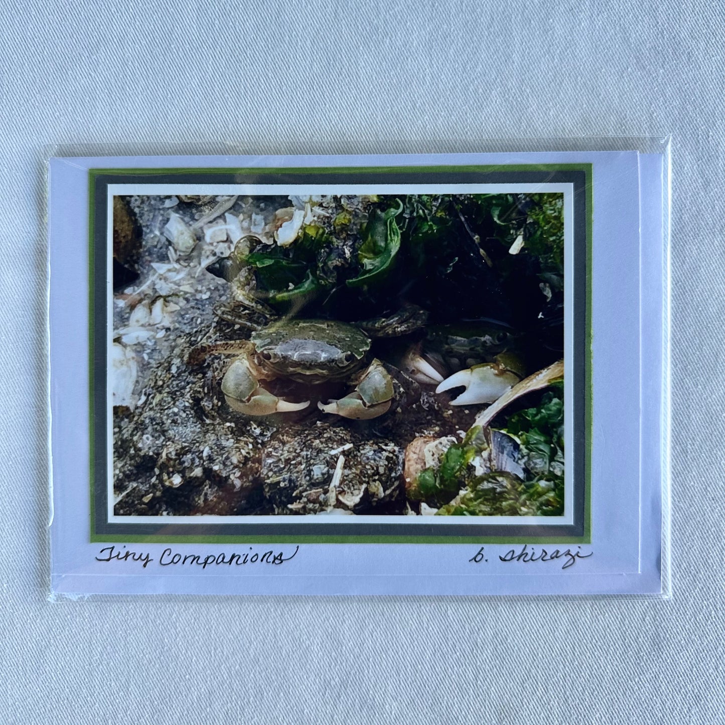 “Tiny Companions" - Whidbey Photo Greeting Card