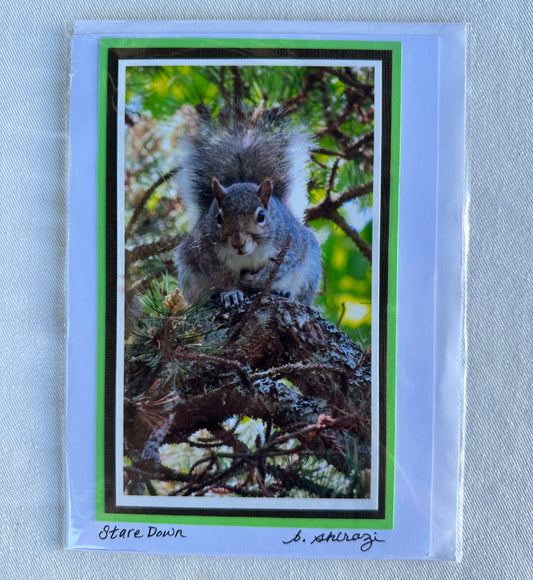 “Stare Down" - Whidbey Photo Greeting Card