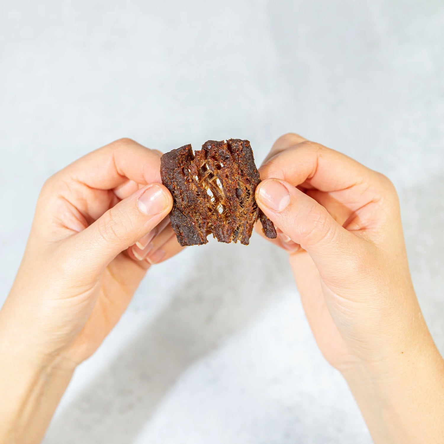 Hands holding a piece of jerky against a light gray background