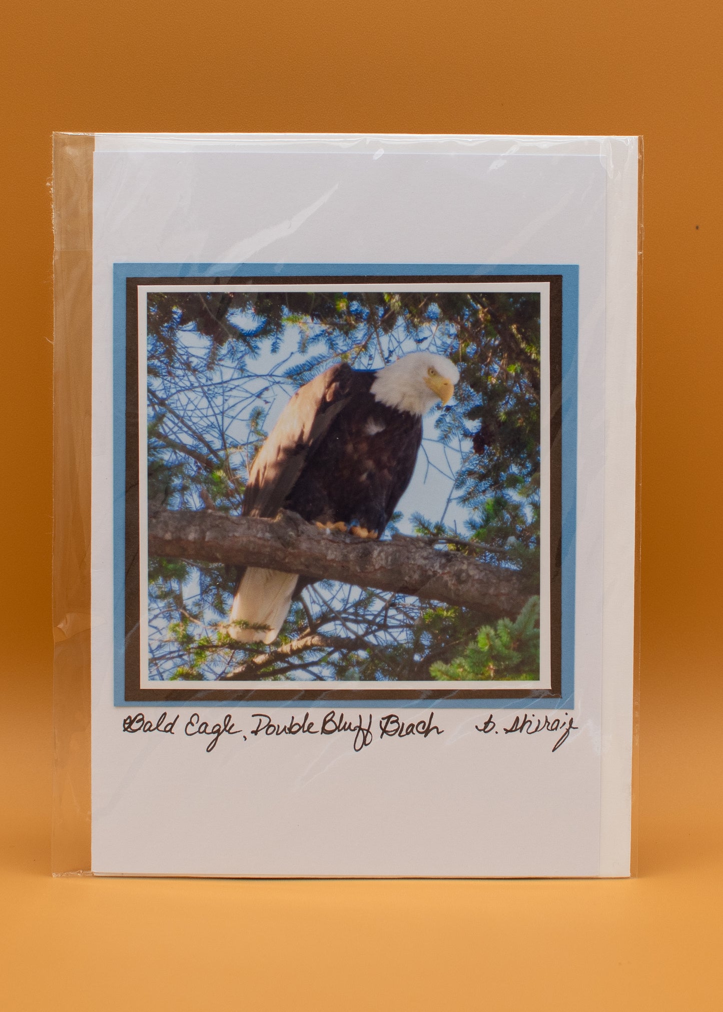 "Bald Eagle, Double Bluff Beach" - Whidbey Photo Greeting Card