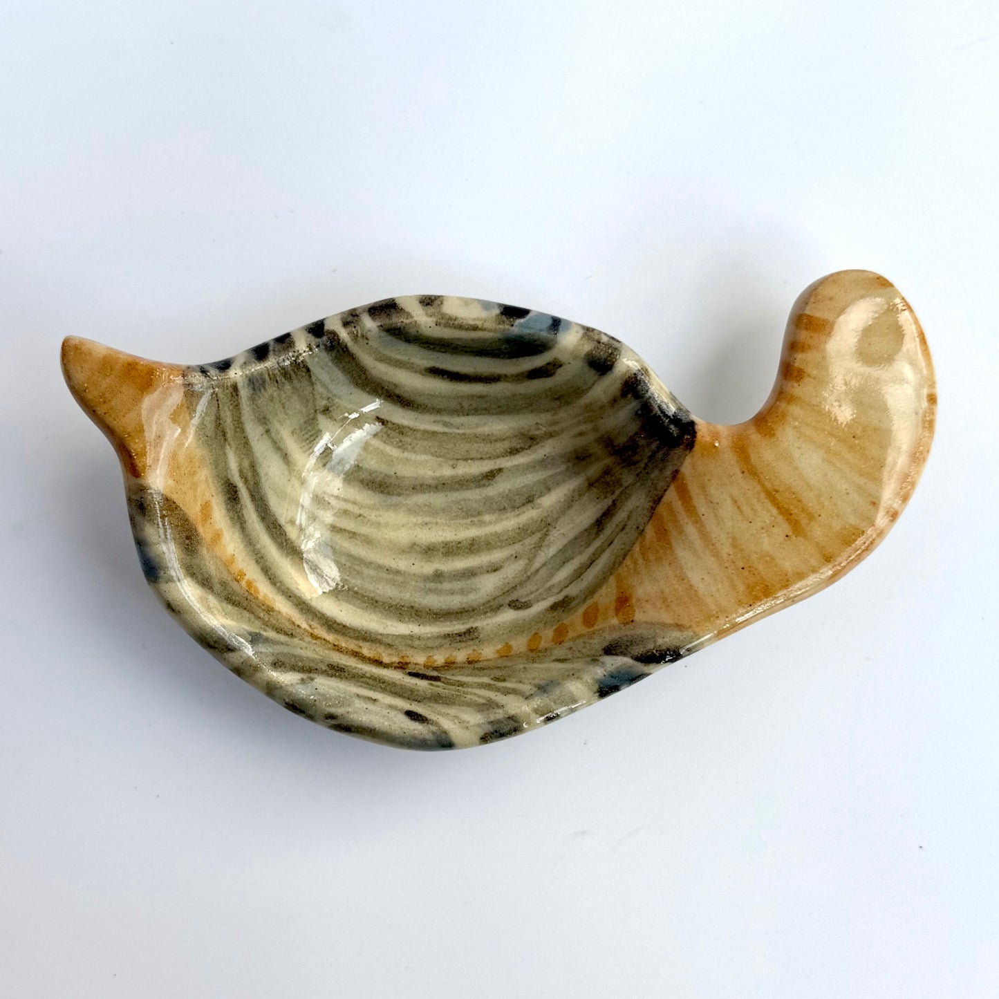 Geoduck Ring/Soap Dish