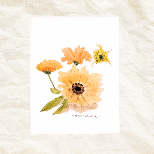 "Calendula" Greeting Card