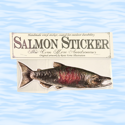 Salmon-shaped sticker on a card with text about the product on a wavy blue background