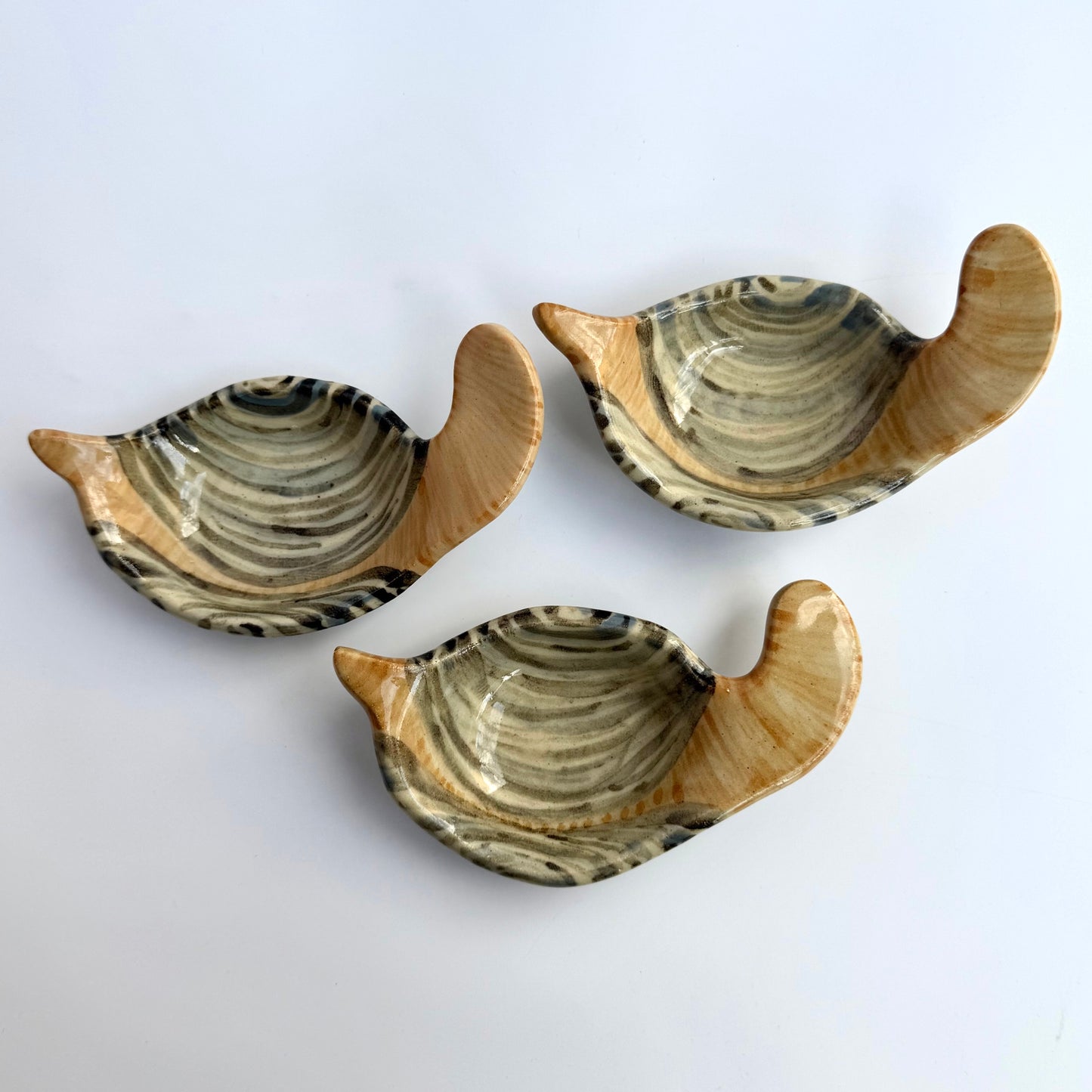 Geoduck Ring/Soap Dish