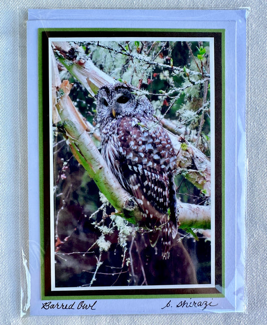 “Barred Owl" - Whidbey Photo Greeting Card