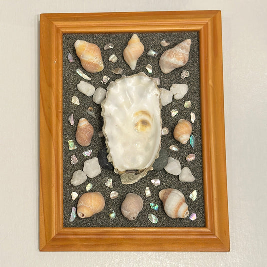Framed display of seashells and an oyster on a gray background