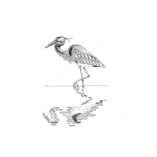 Detailed black and white illustration of a heron standing in water.
