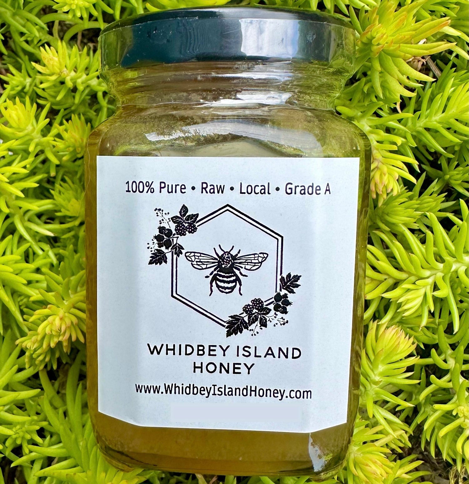 Jar of Whidbey Island Honey on a green leafy background