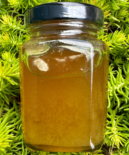 Jar of honey on green leafy background