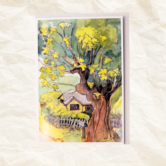 "Old Maple on Edgecliff" Greeting Card