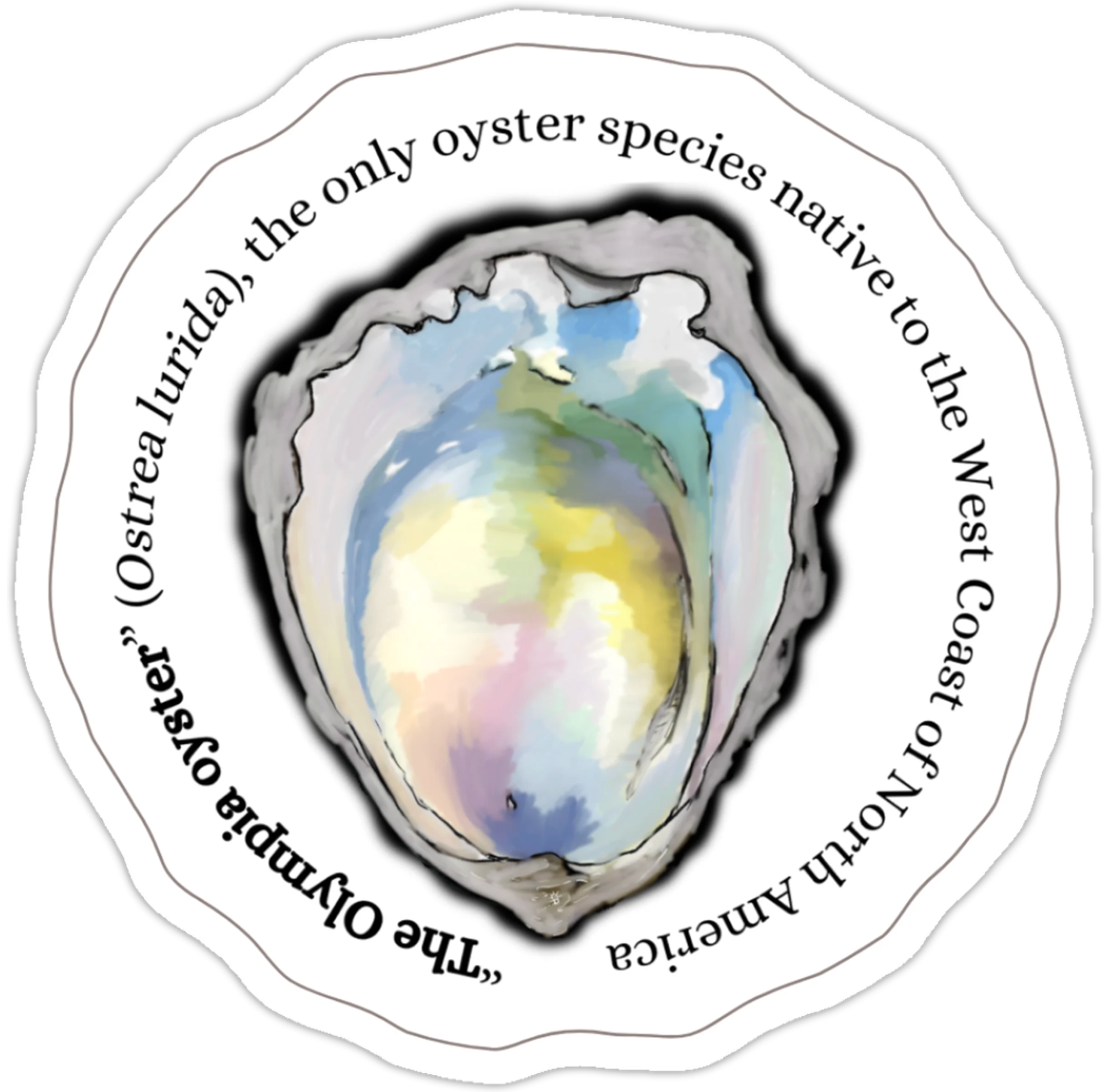 Sticker of a colorful oyster shell with the words "The Olympia oyster" (Ostrea lurida), the only oyster species native to the West Coast of North America