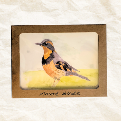 Pack of 5: Mixed Birds Greeting Cards