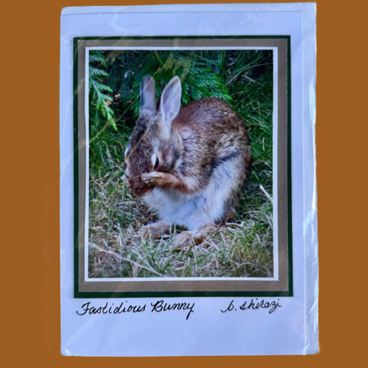 Photo of a brown rabbit standing in the grass cleaning its face with its paws, attached to a white greeting card with the handwritten words "Fastidious Bunny, B Shirazi"