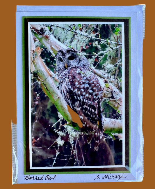 Photo of a barred owl perched on a tree branch, attached to a white greeting card with the handwritten words "Ellie, Napping, B Shirazi"