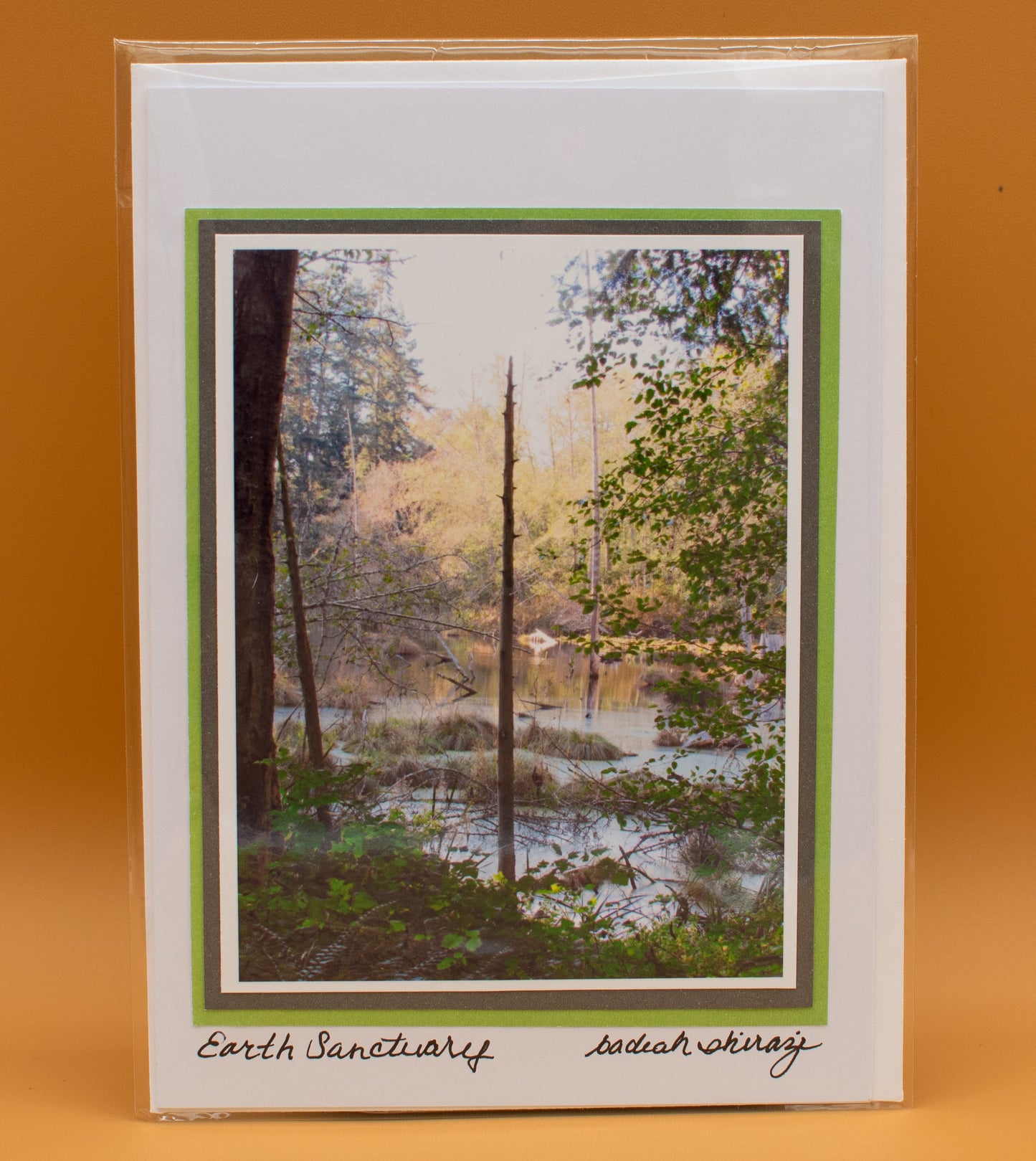 Photo of a wetlands marsh seen between trees, attached to a white greeting card with the handwritten words "Earth Sanctuary, B Shirazi"