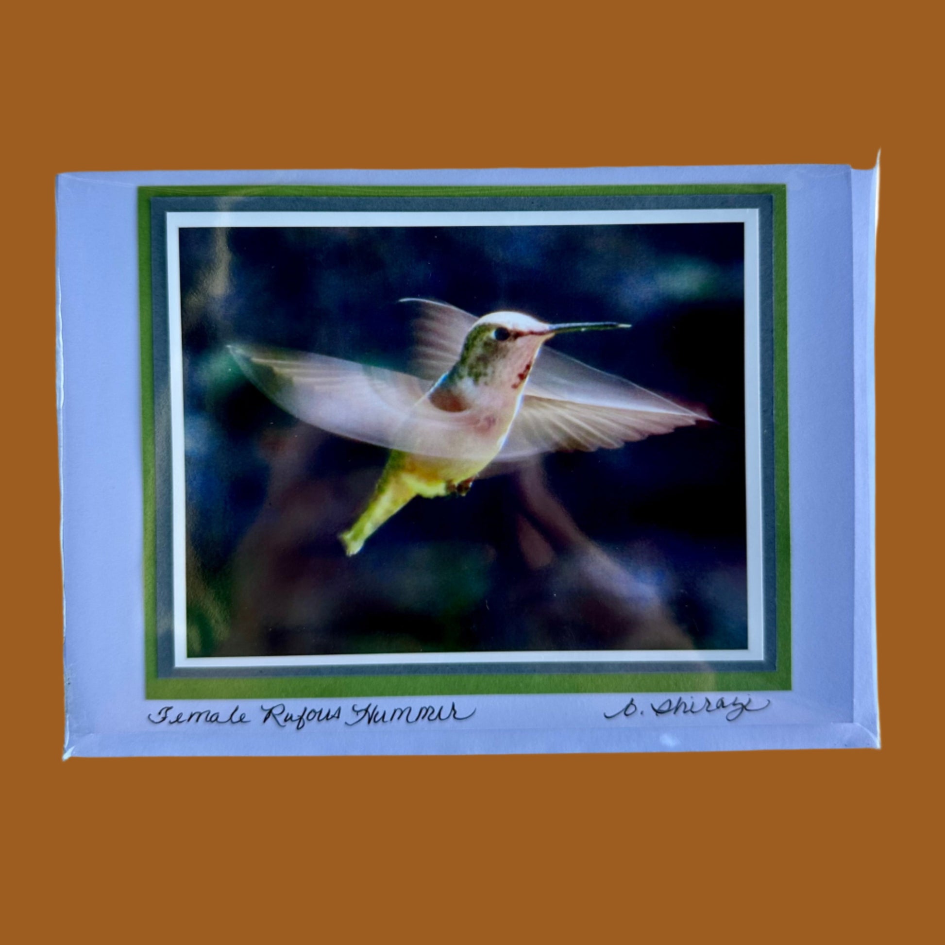 Photo of a female Rufous hummingbird in flight, attached to a white greeting card with the handwritten words "Female Rufous Hummer, B Shirazi"