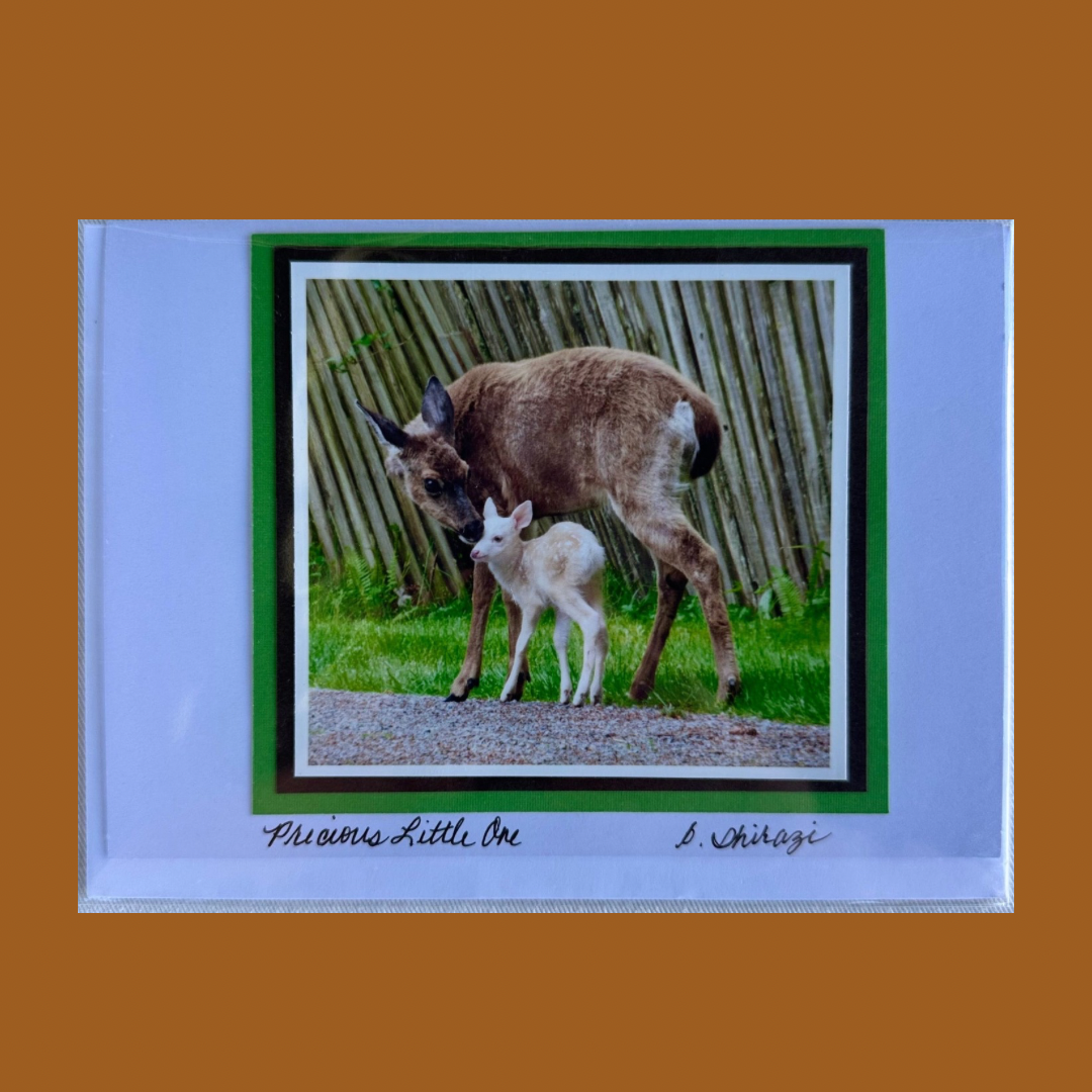 Photo of a brown deer with a smaller white fawn, attached to a white greeting card with the handwritten words "Precious Little One, B Shirazi"