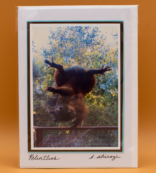 Photo of a squirrel balancing upside-down, attached to a white greeting card with the handwritten words "Relentless, B Shirazi"