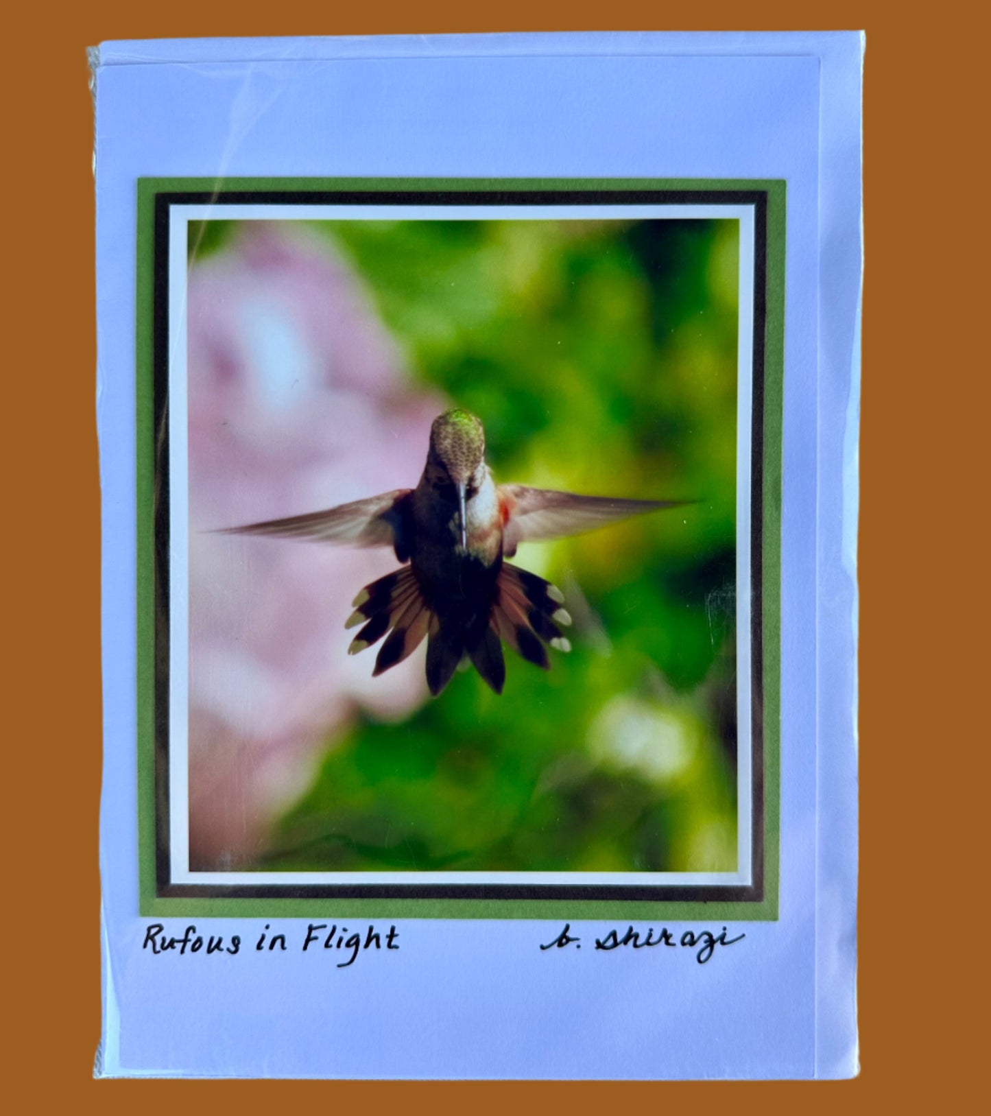 Photo of a Rufous hummingbird in flight, attached to a white greeting card with the handwritten words "Rufous in Flight, B Shirazi"